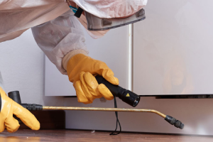 Messie Schädlingsbekämpfung Gummersbach